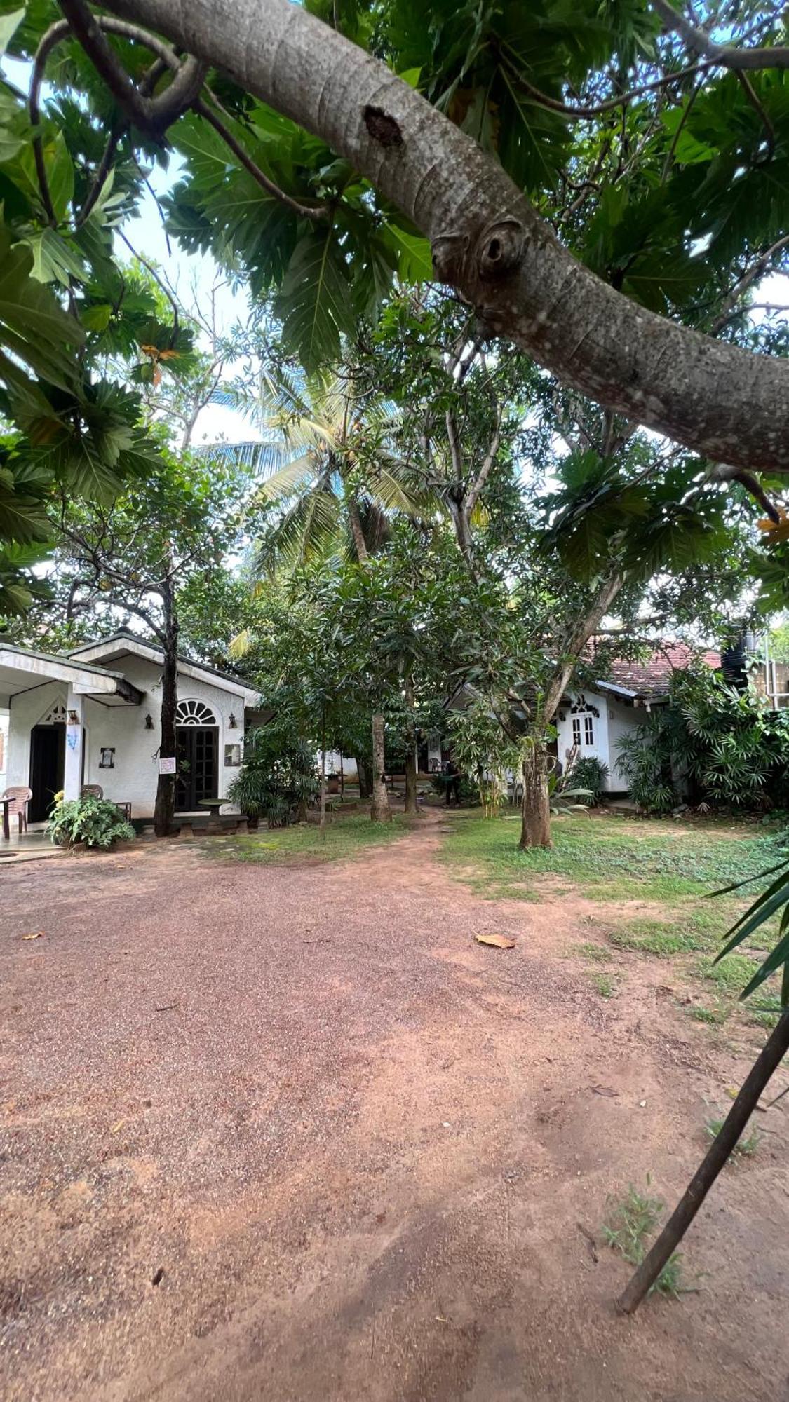 Sylvester Villa Hostel Negombo Eksteriør bilde