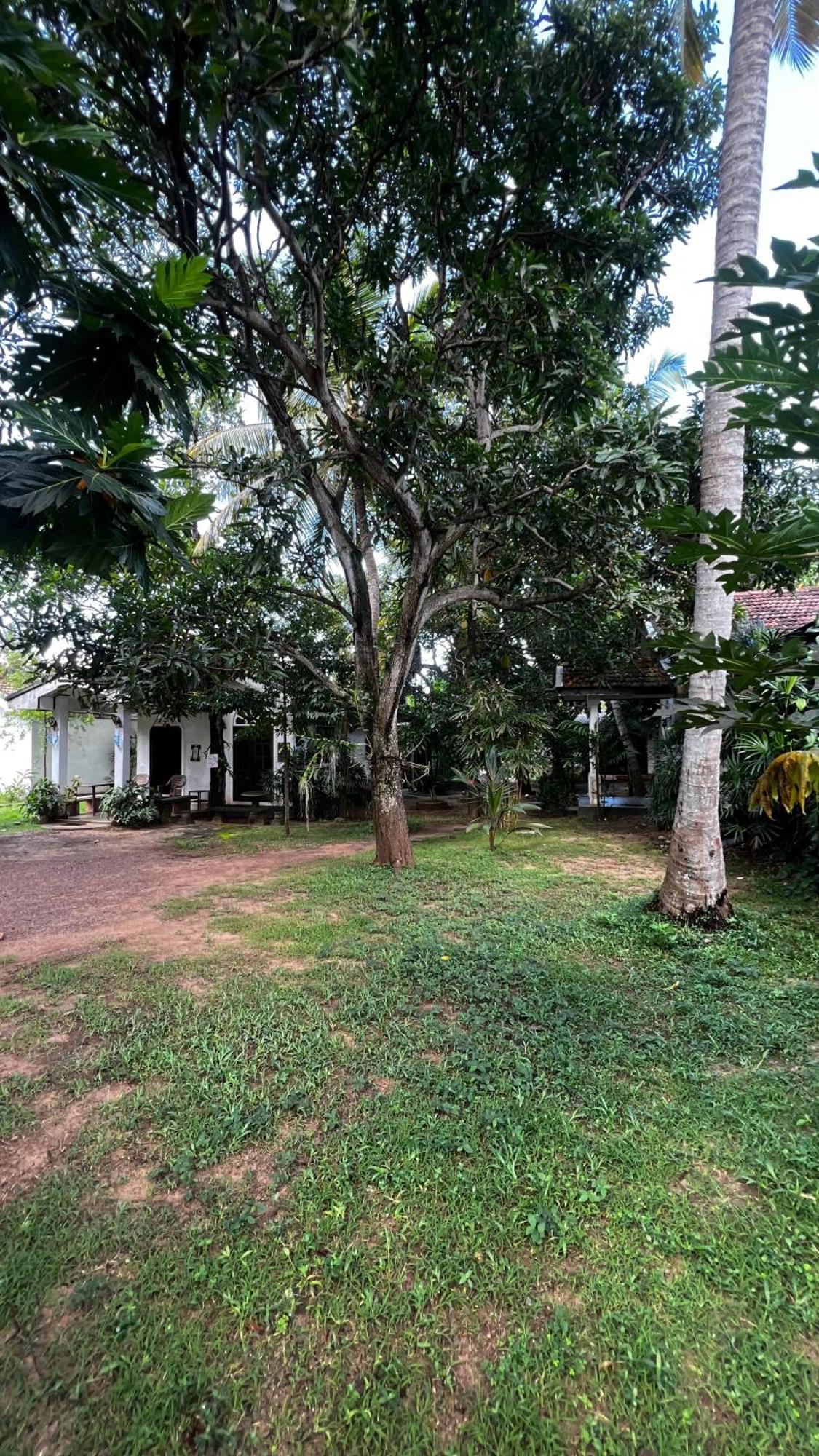 Sylvester Villa Hostel Negombo Eksteriør bilde