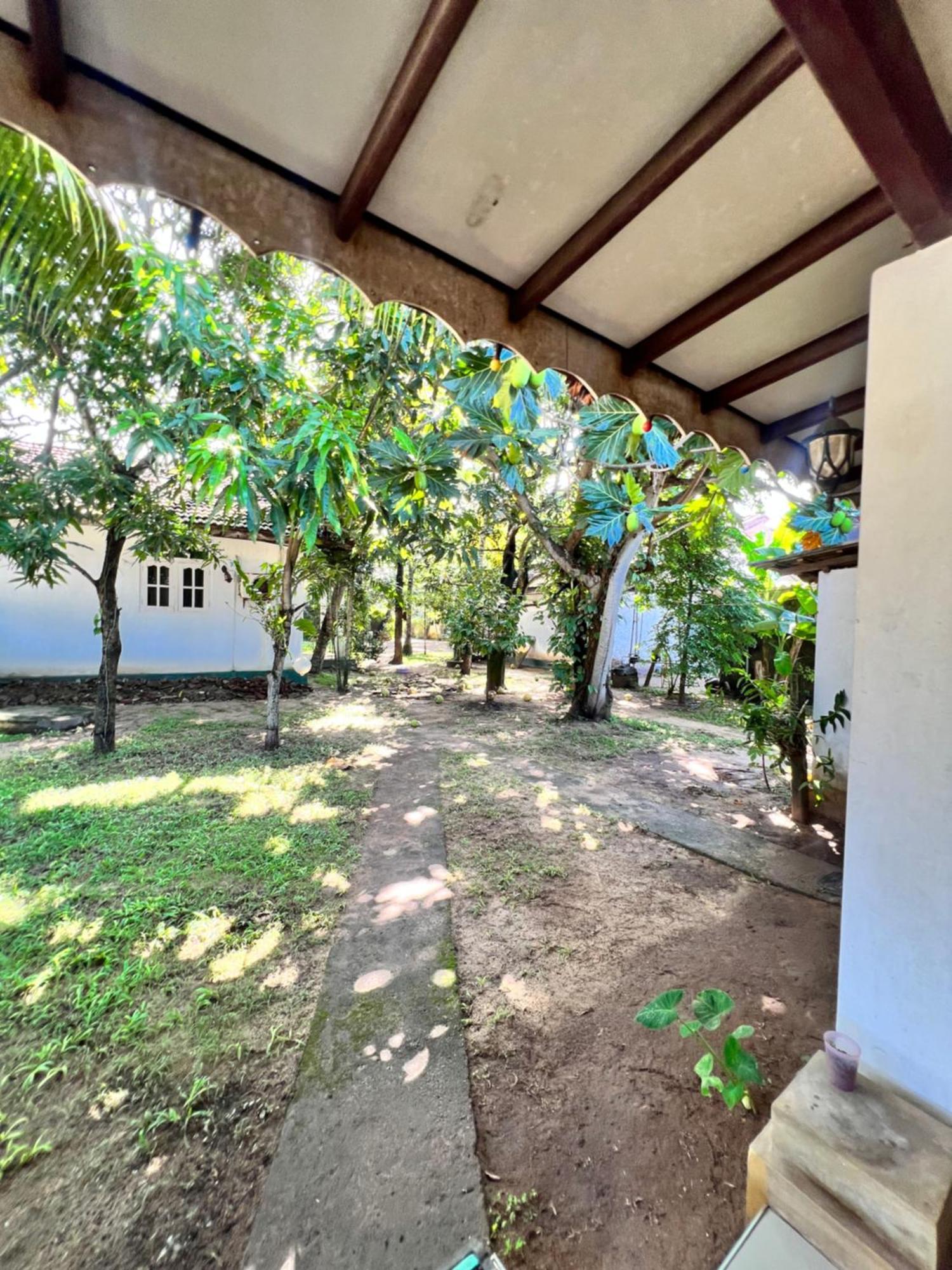 Sylvester Villa Hostel Negombo Eksteriør bilde