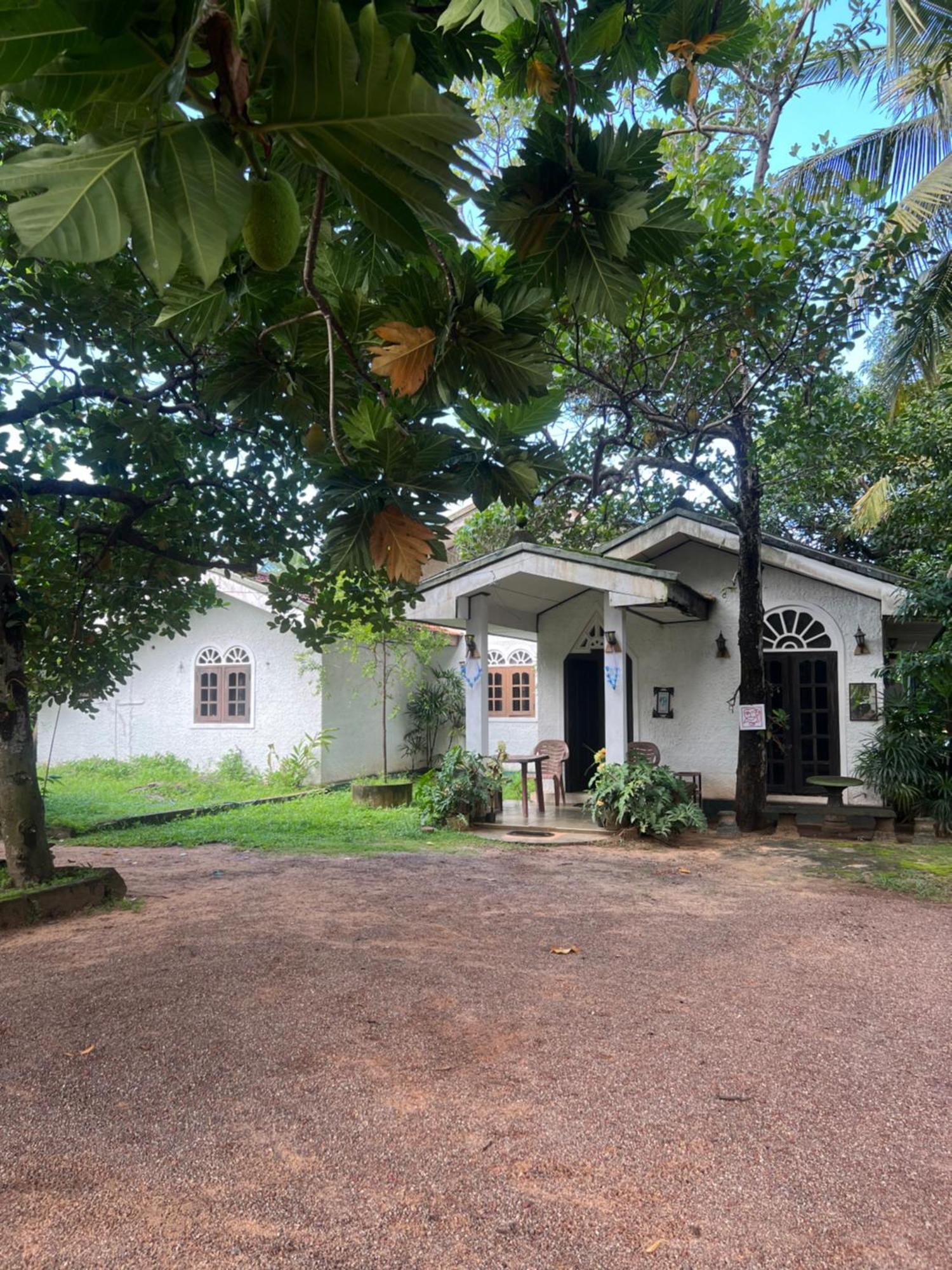 Sylvester Villa Hostel Negombo Eksteriør bilde